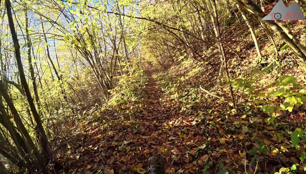 phoca thumb l 2025 07 06 schienerberg wolkenstein hohenklingen 04