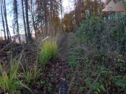 2025-11-03_trailbiken_am_gardwiden_und_zeiningerberg_01