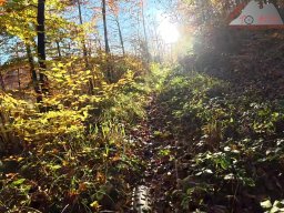 2025-11-03_trailbiken_am_gardwiden_und_zeiningerberg_03