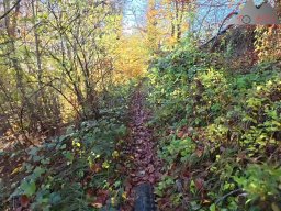 2025-11-03_trailbiken_am_gardwiden_und_zeiningerberg_05