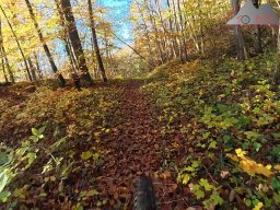 2025-11-03_trailbiken_am_gardwiden_und_zeiningerberg_06