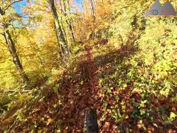 2025-11-03_trailbiken_am_gardwiden_und_zeiningerberg_07