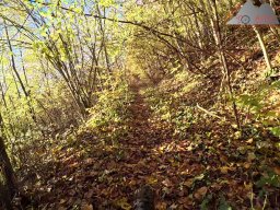 2025-11-03_trailbiken_am_gardwiden_und_zeiningerberg_08