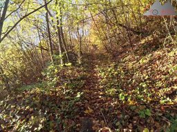 2025-11-03_trailbiken_am_gardwiden_und_zeiningerberg_09