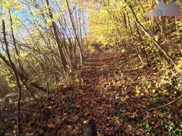 2025-11-03_trailbiken_am_gardwiden_und_zeiningerberg_10