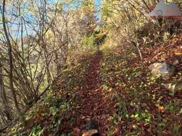 2025-11-03_trailbiken_am_gardwiden_und_zeiningerberg_11