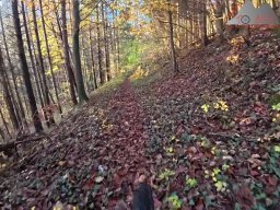 2025-11-03_trailbiken_am_gardwiden_und_zeiningerberg_12