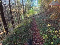 2025-11-03_trailbiken_am_gardwiden_und_zeiningerberg_13