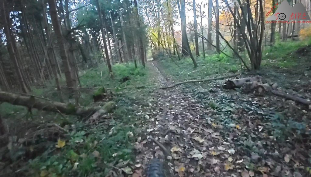 Tailbiken am Chriesi- und Zeiningerberg (05.11..2025)