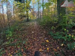 2025-11-05_trailbiken_am_chriesi_und_zeiningerberg_02