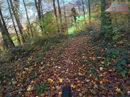 2025-11-05_trailbiken_am_chriesi_und_zeiningerberg_03