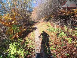 2025-11-05_trailbiken_am_chriesi_und_zeiningerberg_05