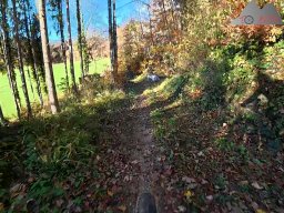 2025-11-05_trailbiken_am_chriesi_und_zeiningerberg_06