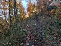 2025-11-05_trailbiken_am_chriesi_und_zeiningerberg_07