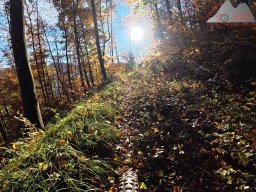 2025-11-05_trailbiken_am_chriesi_und_zeiningerberg_08