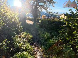 2025-11-05_trailbiken_am_chriesi_und_zeiningerberg_11