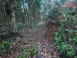 2025-11-05_trailbiken_am_chriesi_und_zeiningerberg_12