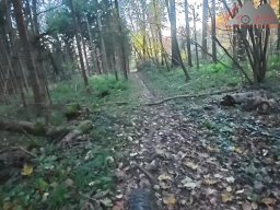 2025-11-05_trailbiken_am_chriesi_und_zeiningerberg_13