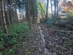 2025-11-05_trailbiken_am_chriesi_und_zeiningerberg_14