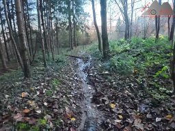 2025-11-05_trailbiken_am_chriesi_und_zeiningerberg_15