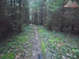 2025-11-05_trailbiken_am_chriesi_und_zeiningerberg_16