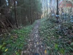 2025-11-05_trailbiken_am_chriesi_und_zeiningerberg_21