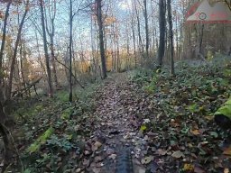 2025-11-05_trailbiken_am_chriesi_und_zeiningerberg_22