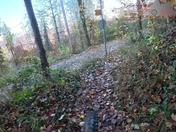 2025-11-05_trailbiken_am_chriesi_und_zeiningerberg_23