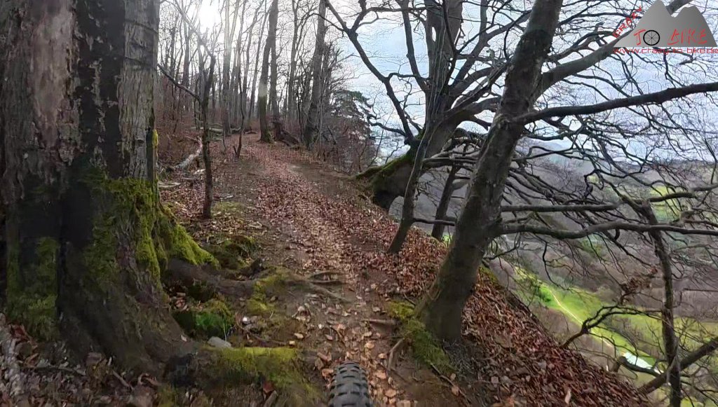 Hombergegg-Trail (15.11..2025)