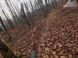 2025-11-15_hombergegg-trail_03