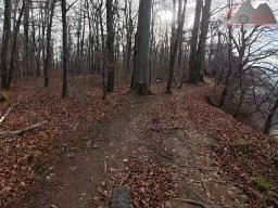 2025-11-15_hombergegg-trail_05