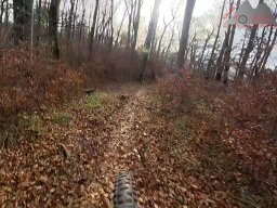 2025-11-15_hombergegg-trail_08