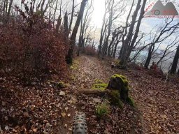 2025-11-15_hombergegg-trail_09