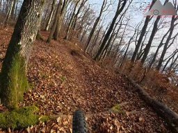 2025-11-15_hombergegg-trail_13