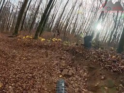 2025-11-15_hombergegg-trail_15