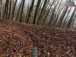 2025-11-15_hombergegg-trail_17