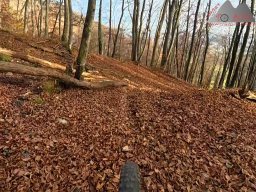 2025-11-15_hombergegg-trail_18