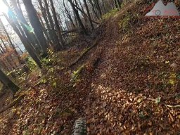 2025-11-15_hombergegg-trail_19