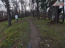 2025-11-15_hombergegg-trail_21