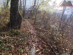 2025-11-15_hombergegg-trail_23