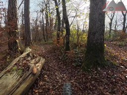 2025-11-15_hombergegg-trail_24