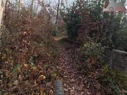 2025-11-15_hombergegg-trail_26