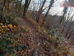 2025-11-15_hombergegg-trail_27
