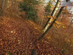 2025-11-15_hombergegg-trail_28