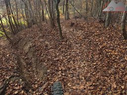 2025-11-15_hombergegg-trail_30