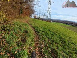 2025-11-15_hombergegg-trail_31
