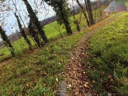 2025-11-15_hombergegg-trail_32