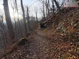 2025-11-19_endless-trail_sissach_04