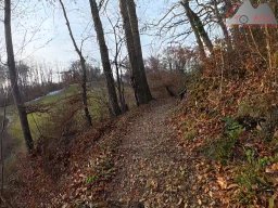 2025-11-19_endless-trail_sissach_05