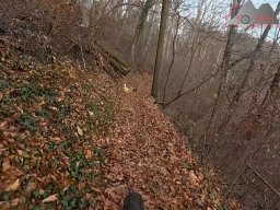 2025-11-19_endless-trail_sissach_07